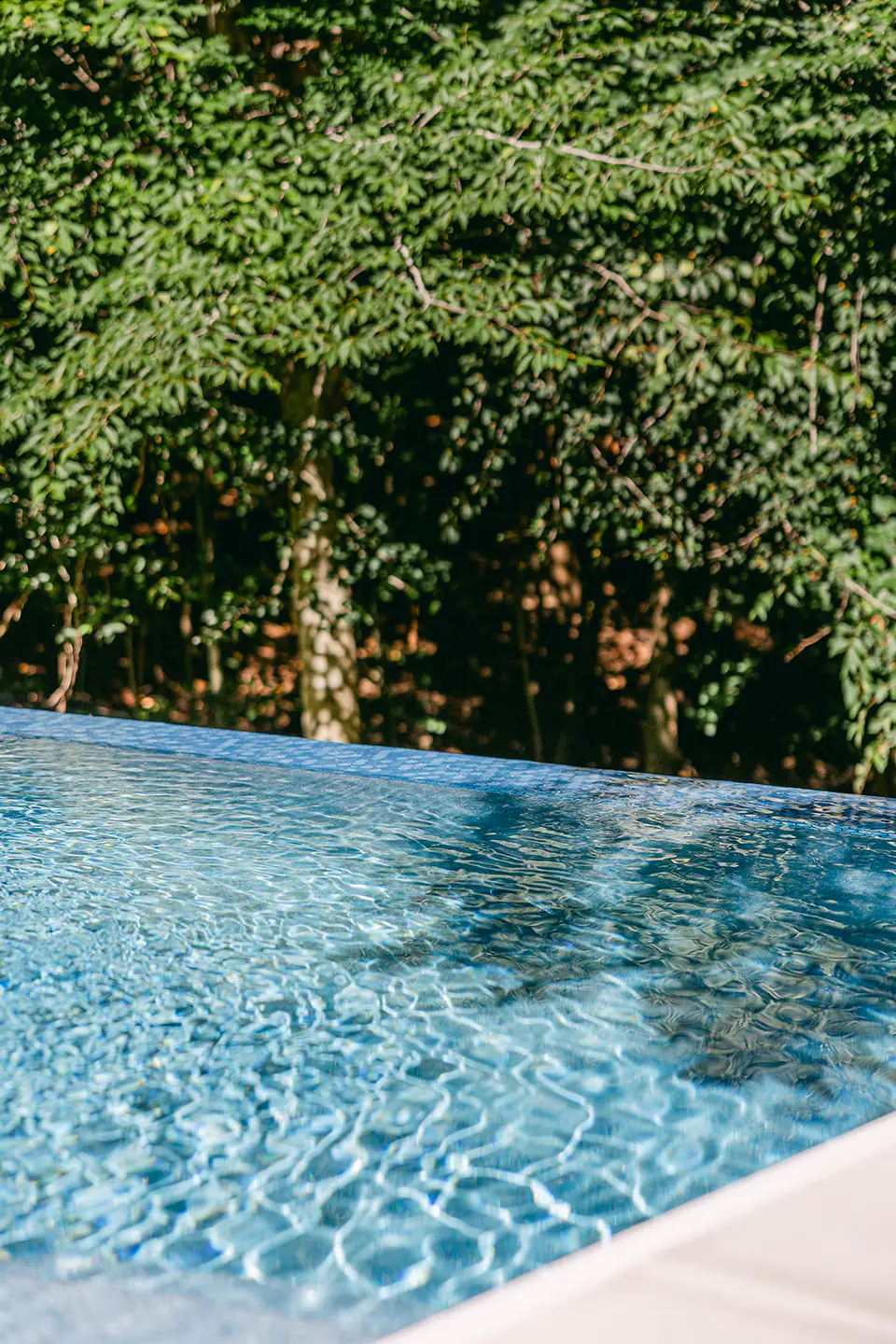 Infinity pool with trees in background