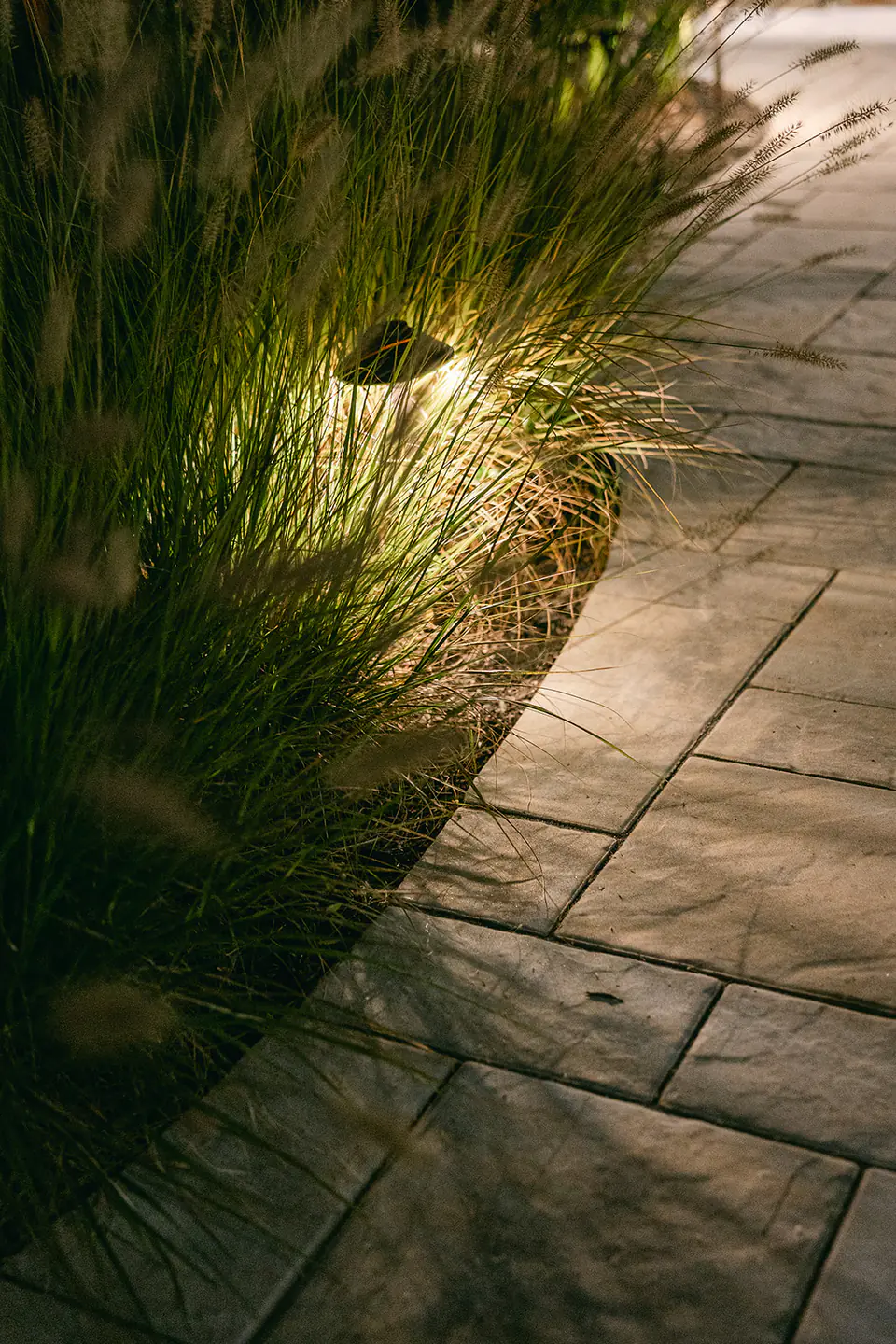 outdoor light in greenery
