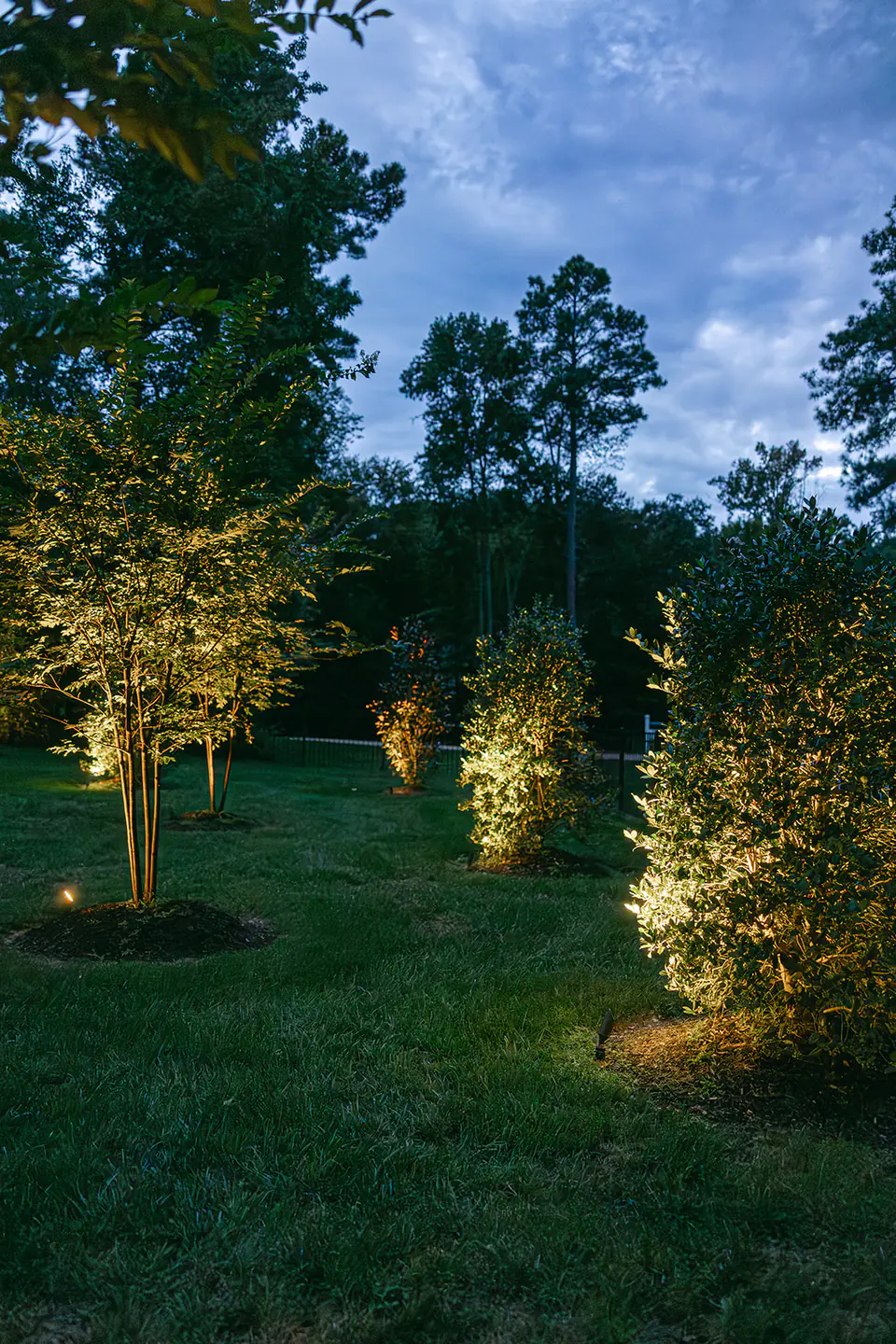 backyard landscaping at night with lighting