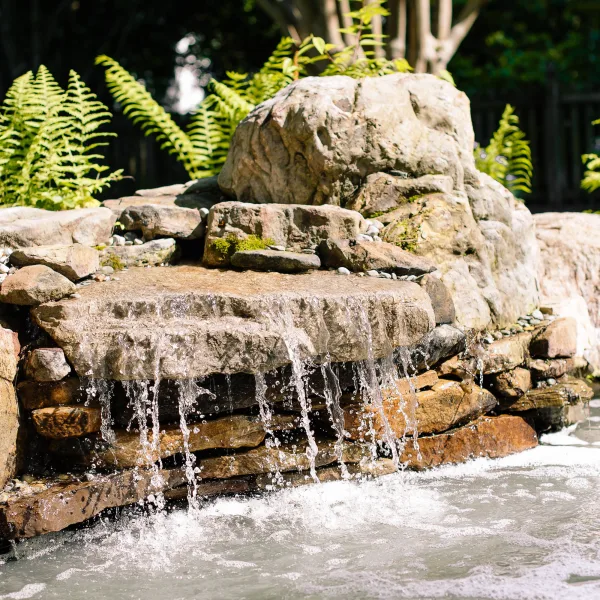 Ponds & Waterfalls