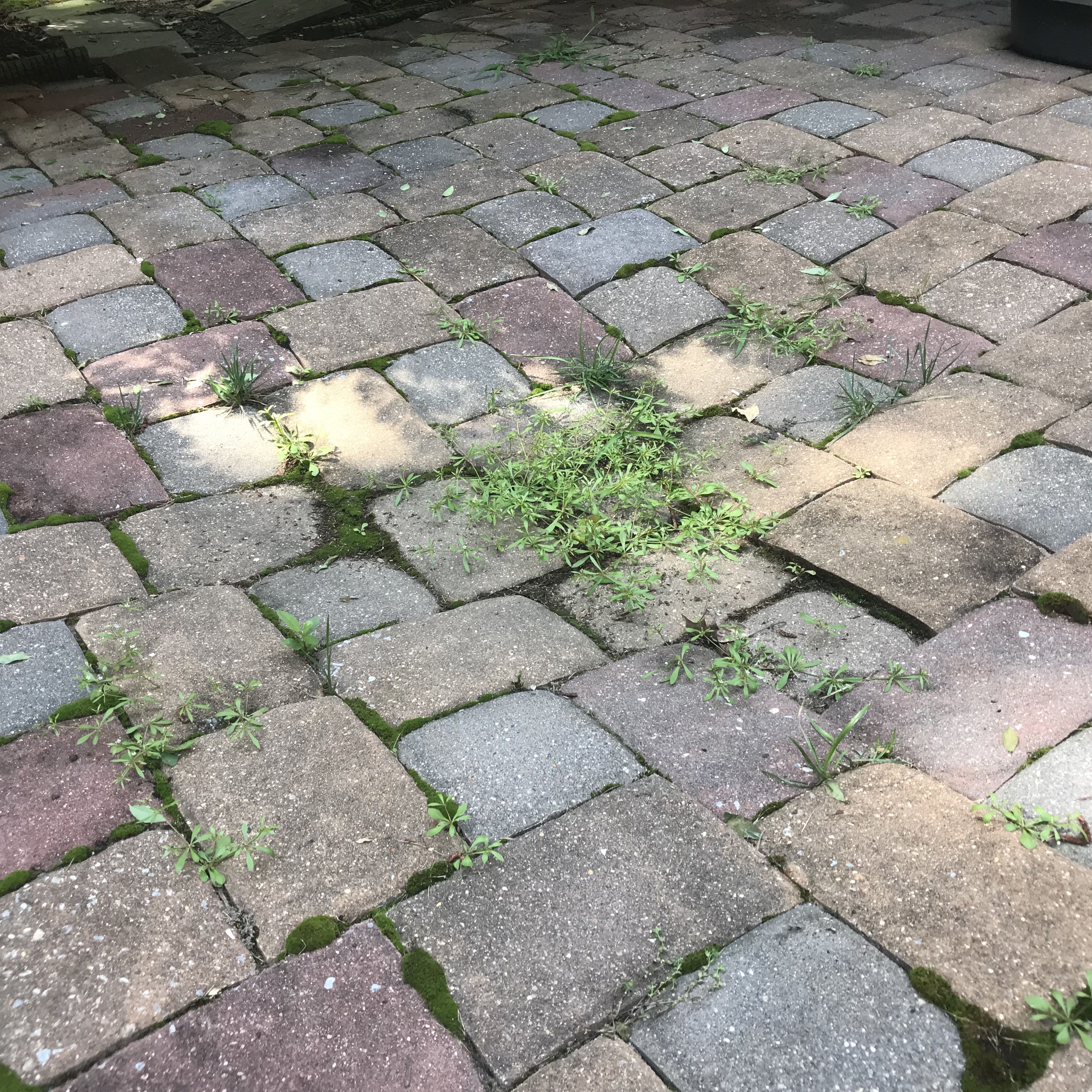 Sunken Areas