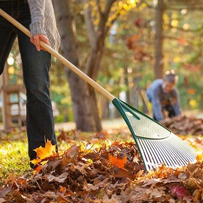 Raking
