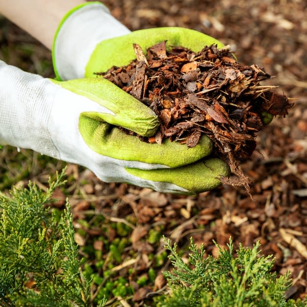 Mulching