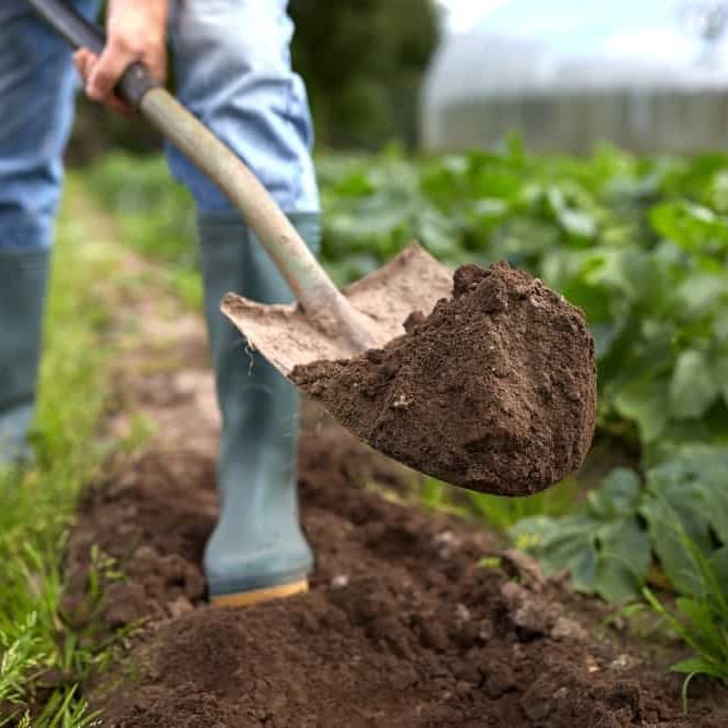 Digging